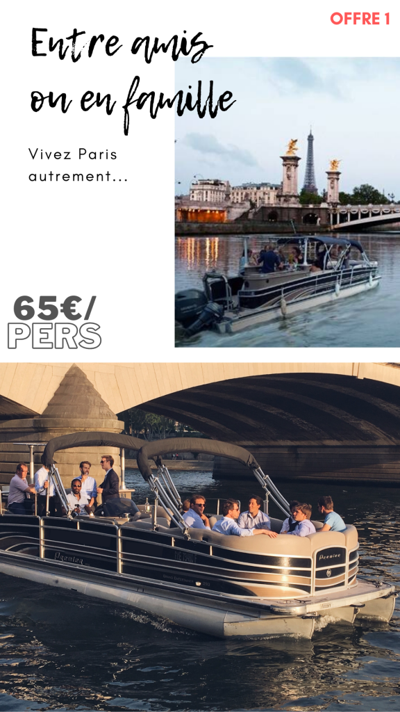 Sur la Seine l'hiver