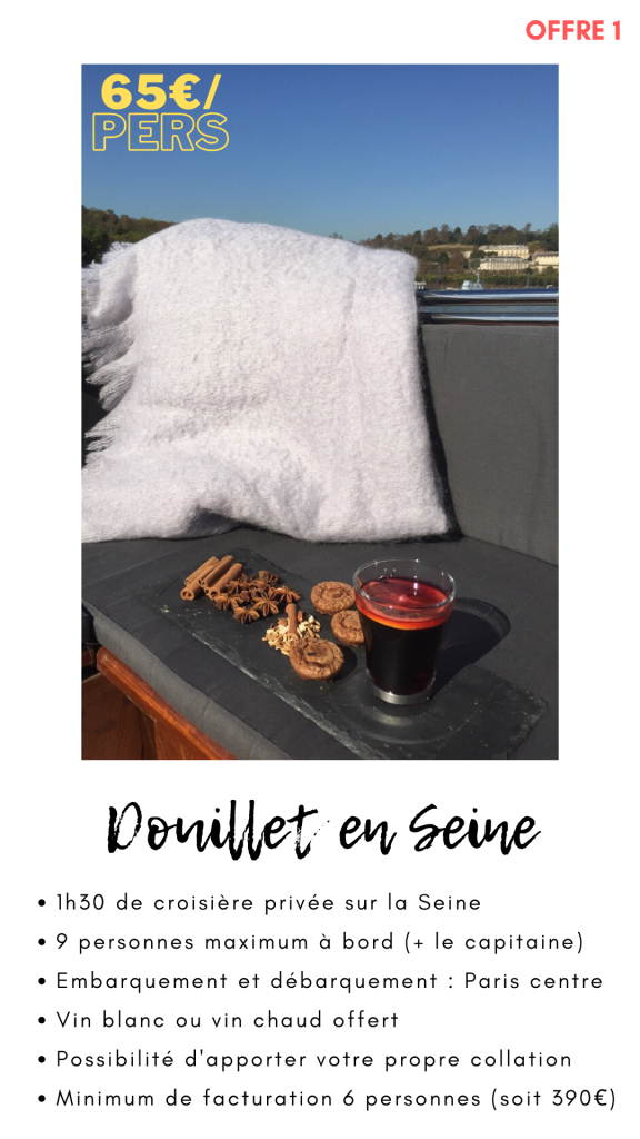 Sur la Seine l'hiver