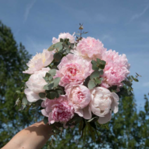 bouquet de pivoines